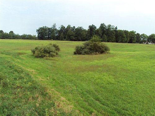 Property photo 12 - 72 Acres offered in 6 Tracts